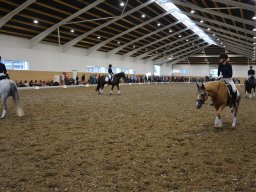 DSC_9638_web